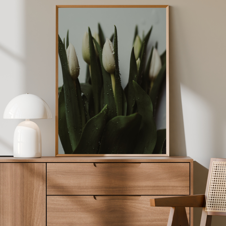 Plakat białe tulipany 40x50 cm