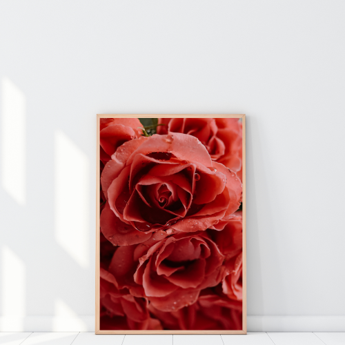 Plakat z czerwonymi różami to elegancka i autorska dekoracja ścienna do wnętrz