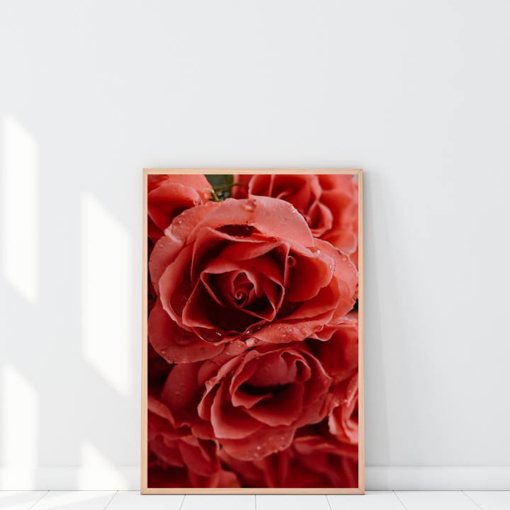 Plakat z czerwonymi różami to elegancka i autorska dekoracja ścienna do wnętrz