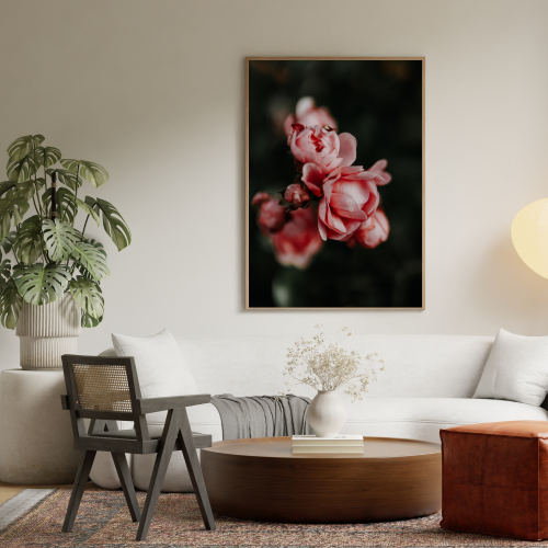 Grafika ścienna macro róże to plakat stworzony z autorskiej fotografii do dekoracji wnętrz