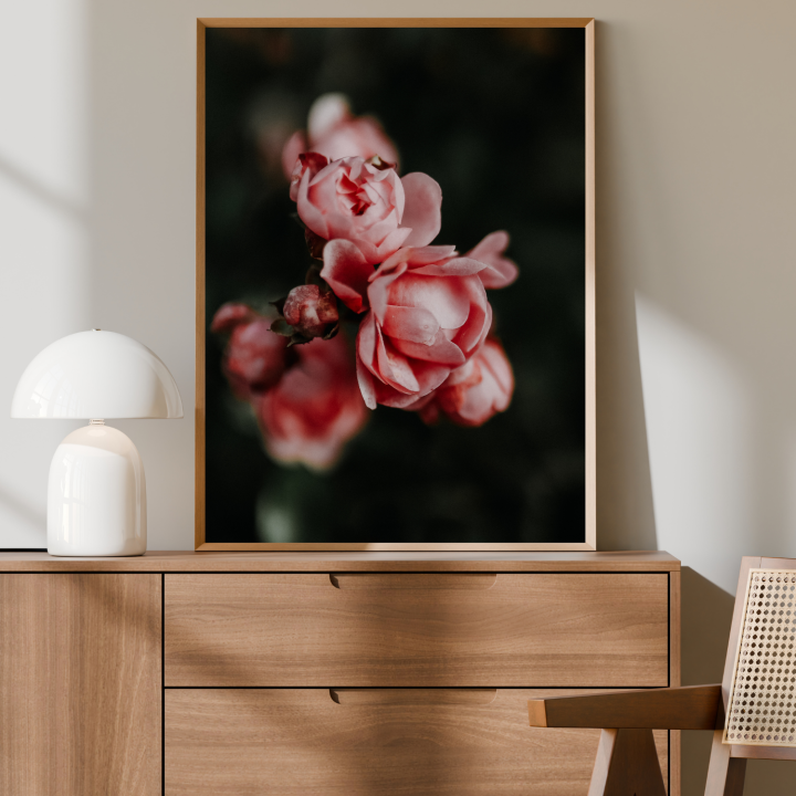 Plakat fotograficzny z różami macro to obraz na ścianę do salonu lub sypialni oraz idealny na prezent dla mamy