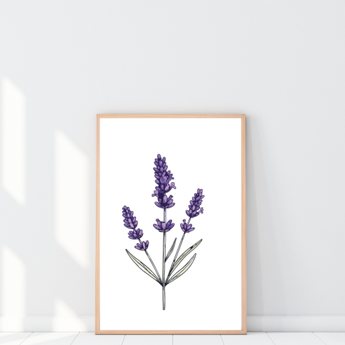 Minimalistyczny plakat z gałązką lawendy – autorska grafika na białym tle do nowoczesnych wnętrz