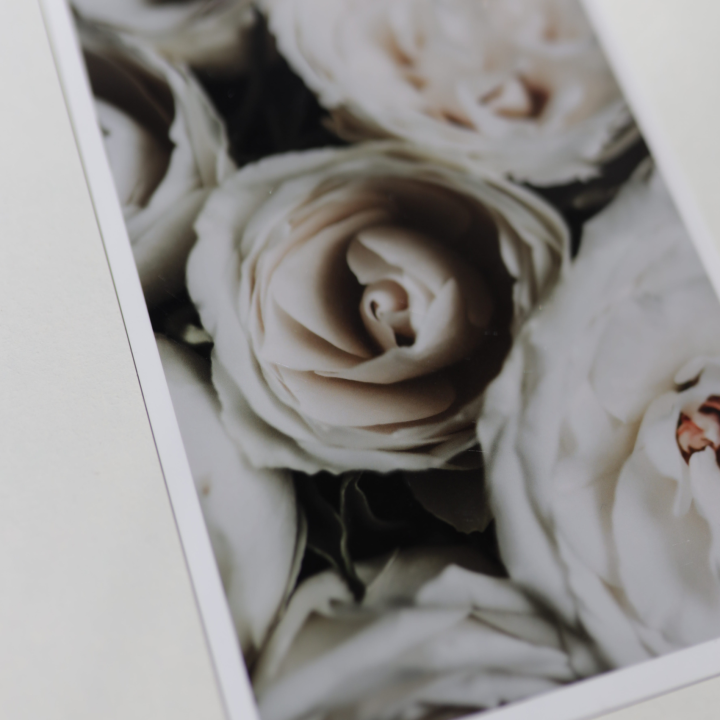 Romantyczny plakat na ścianę do sypialni z motywem białych róż - nowoczesna dekoracja do wnętrza