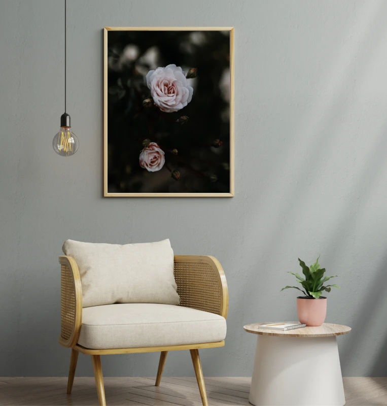 Plakat botaniczny do salonu lub sypialni ze wzorem bialych roz na czarnym tle