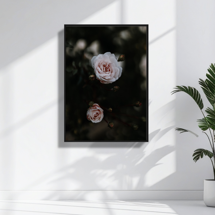 Autorska fotografia bialych roz wykonana technika macro do dekoracji salonu lub sypialni