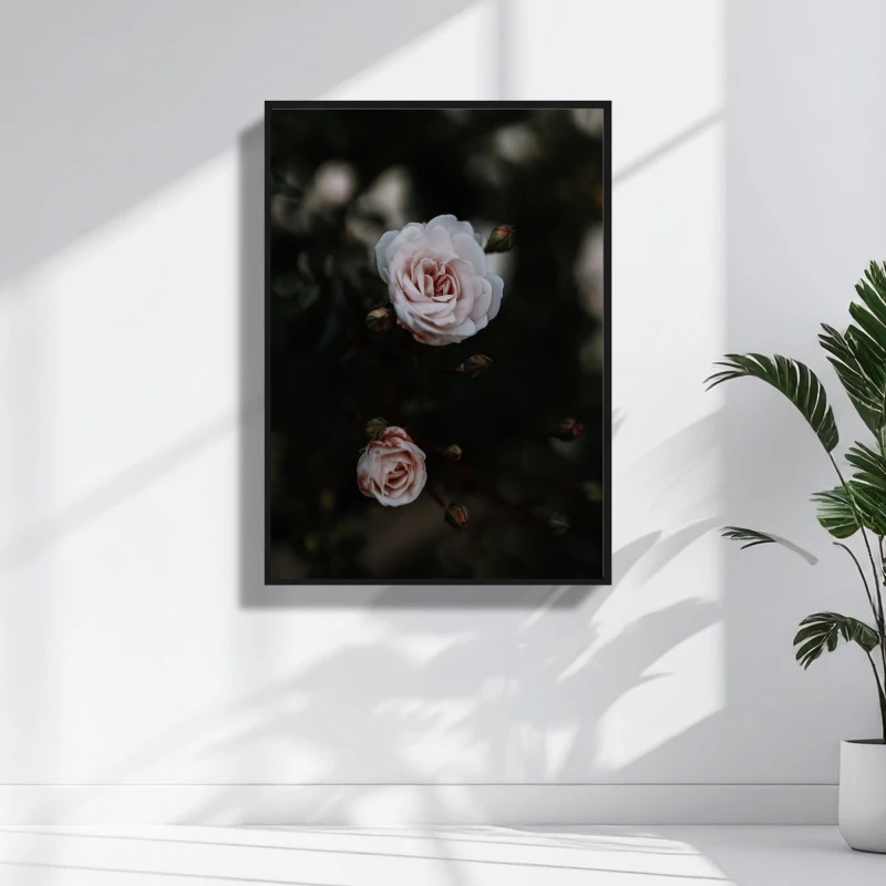 Autorska fotografia bialych roz wykonana technika macro do dekoracji salonu lub sypialni