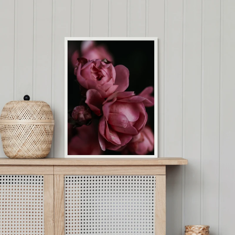 Oryginalna fotografia roz do dekoracji salonu lub przedpokoju