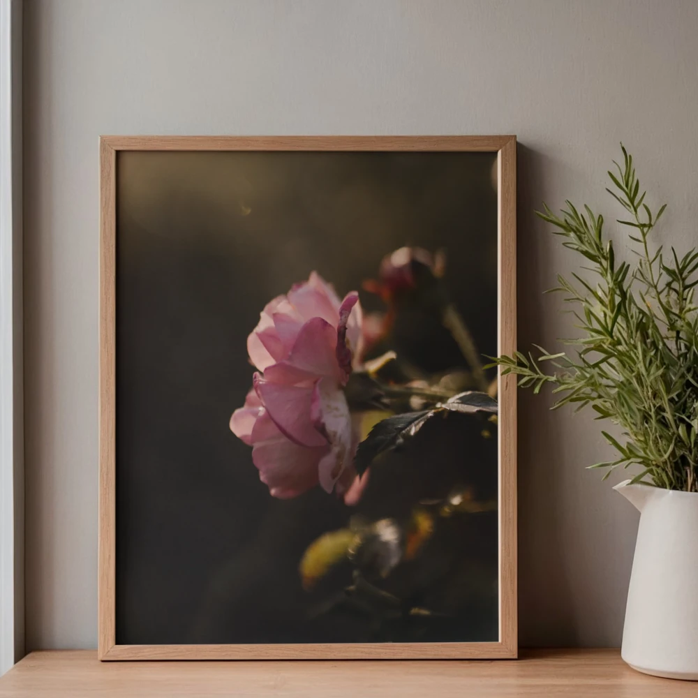 Botaniczny poster z rozowa roza na tle zachodzacego slonca do salonu lub gabinetu