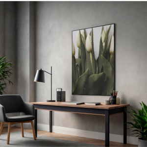 Plakat dekoracyjny białe tulipany zroszone wodą - elegancka dekoracja ścienna