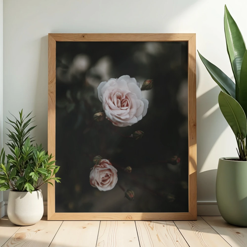 Botaniczny plakat obrazujacy biale kwitnace roze na czarnym tle do biura, gabinetu beauty lub salonu